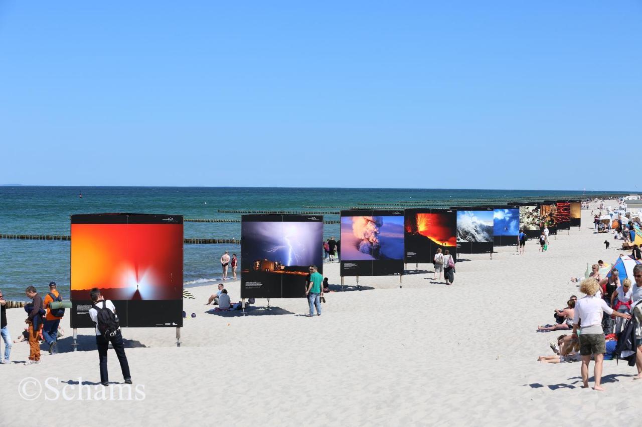 Ostseelagune Zingst, Exklusive Dhh, Strandnah, Sauna, Kamin, 3 Sz, 2 Baeder, Glasfaser, Haustierfrei, Garten Mit Suedterrasse, E-Ladesaeule, 2 Stellplaetze, Strandkorb, Fahrradschuppen, Waschmaschine, Trockner, Nichtraucher Exterior photo
