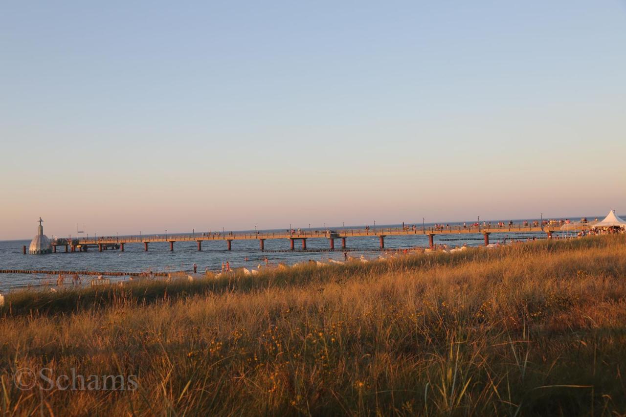 Ostseelagune Zingst, Exklusive Dhh, Strandnah, Sauna, Kamin, 3 Sz, 2 Baeder, Glasfaser, Haustierfrei, Garten Mit Suedterrasse, E-Ladesaeule, 2 Stellplaetze, Strandkorb, Fahrradschuppen, Waschmaschine, Trockner, Nichtraucher Exterior photo