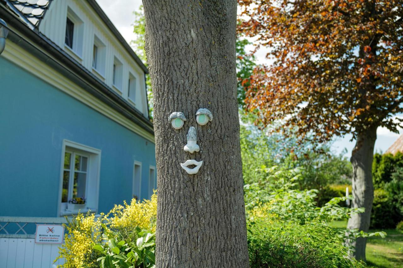Ostseelagune Zingst, Exklusive Dhh, Strandnah, Sauna, Kamin, 3 Sz, 2 Baeder, Glasfaser, Haustierfrei, Garten Mit Suedterrasse, E-Ladesaeule, 2 Stellplaetze, Strandkorb, Fahrradschuppen, Waschmaschine, Trockner, Nichtraucher Exterior photo